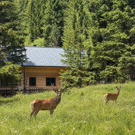 Waldblick By Globalimmoservice * Ebene Reichenau